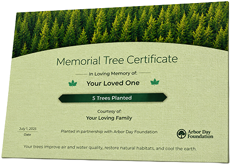 Plant Trees in Memory of Oscar Gadson, Jr.